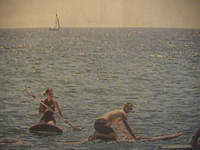 Et si le virus prolifre dans la mer ? revue de presse vido